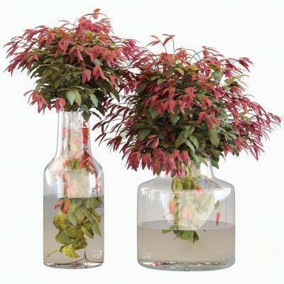 现代玻璃花瓶组合